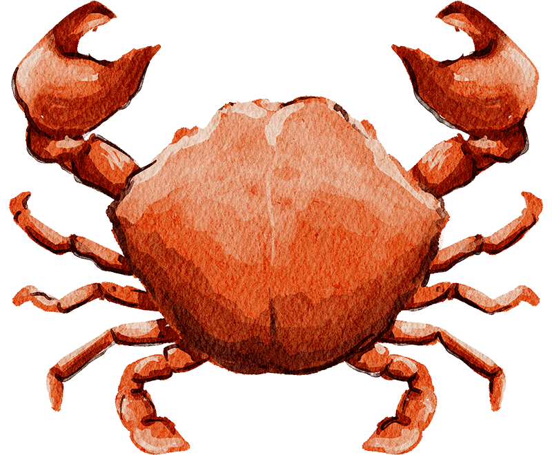Cranc Cranc